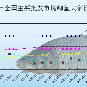 2013��8��19��ȫ����Ҫ���l�Ј��a�~�r������