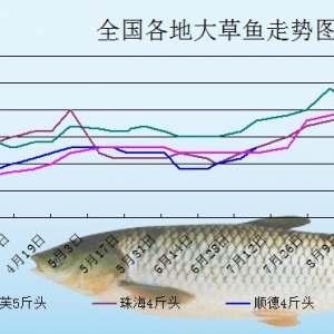 2013��8��19�ո��؅^��Ҏ����~���^�r