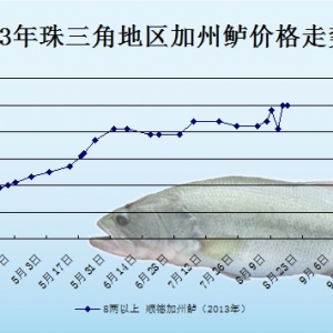 2013��8��19��ȫ�����؅^�����|���^�r