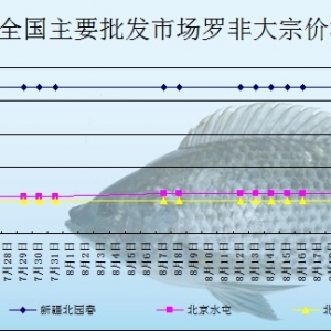 2013��8��20��ȫ����Ҫ���l�Ј��_���~�r������