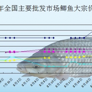 2013��8��21��ȫ����Ҫ���l�Ј��a�~�r������