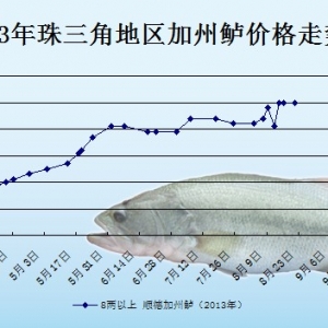 2013��8��21��ȫ�����؅^�����|���^�r