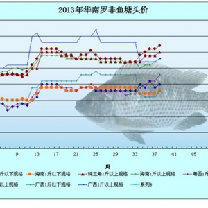 2013��8��19-23���_���~�r�������܈�