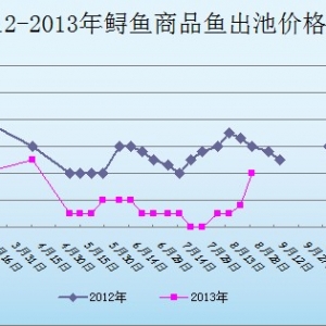 2013��7��29��ɽ�|ұԭ�؅^�\�~�r������