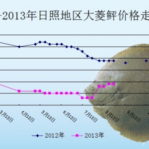 2013��8��12��ɽ�|���յ؅^�����҃r������