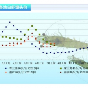 ���r���Bֳ������e�O�Բ��ߡ���ˮ�aǰ�ء�2013��8�¿��Ј�څ��