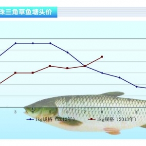 ���~���r��(w��n)������ˮ�a(ch��n)ǰ�ء�2013��9�¿��Ј�څ��