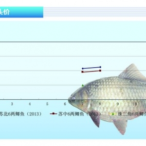 �a�~���r���ϝq���@ �����¸ߡ���ˮ�aǰ�ء�2013��9�¿��Ј�څ��