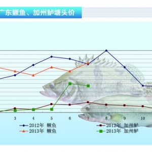 �����|������(y��ng)�p�� �r(ji��)���λ�\(y��n)�С���ˮ�a(ch��n)ǰ�ء�2013��8�¿��Ј�(ch��ng)څ��(sh��)