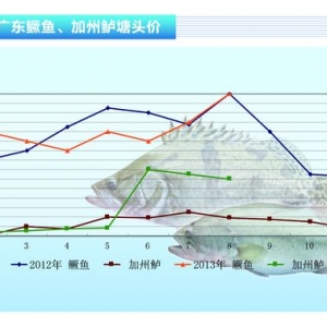 �����|���r(ji��)��ĸ�λС���»�����ˮ�a(ch��n)ǰ�ء�2013��9�¿��Ј�(ch��ng)څ��(sh��)