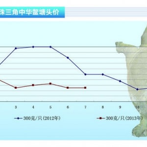 ���~��7���Ҽ��~�r(ji��)�����fȫ�ИI(y��)̝�p����ˮ�a(ch��n)ǰ�ء�2013��8�¿��Ј�(ch��ng)څ��(sh��)
