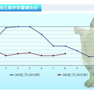 ���~��8�¼��~�������з�������ˮ�a(ch��n)ǰ�ء�2013��9�¿��Ј�(ch��ng)څ��(sh��)