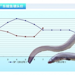 ���~���r(ji��)���ϝq ������(y��ng)�󡪡�ˮ�a(ch��n)ǰ�ء�2013��8�¿��Ј�(ch��ng)څ��(sh��)