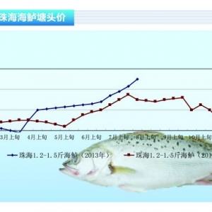 ���|�����Ч���� �Bֳ�ɱ����_9.5����ˮ�aǰ�ء�2013��8�¿��Ј�څ��