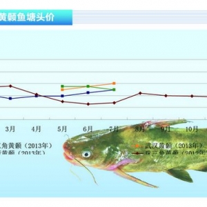 �S��~�������p�� �r(ji��)��(w��n)����������ˮ�a(ch��n)ǰ�ء�2013��8�¿��Ј�(ch��ng)څ��(sh��)