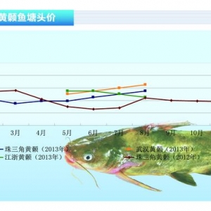 �S��~���r(ji��)��(w��n)������ˮ�a(ch��n)ǰ�ء�2013��9�¿��Ј�(ch��ng)څ��(sh��)