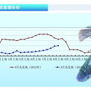 ���~�������µ� ���~�e�O�Բ��ߡ���ˮ�a(ch��n)ǰ�ء�2013��9�¿��Ј�(ch��ng)څ��(sh��)