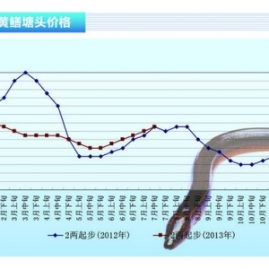 �S�X�����M�������Ӄr��ƽ���ϝq����ˮ�aǰ�ء�2013��8�¿��Ј�څ��