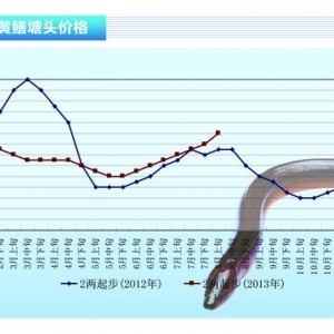 �S�X���r��С���ϝq����ˮ�aǰ�ء�2013��9�¿��Ј�څ��