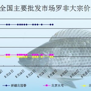 2013��8��28��ȫ����Ҫ���l�Ј��_���~�r������