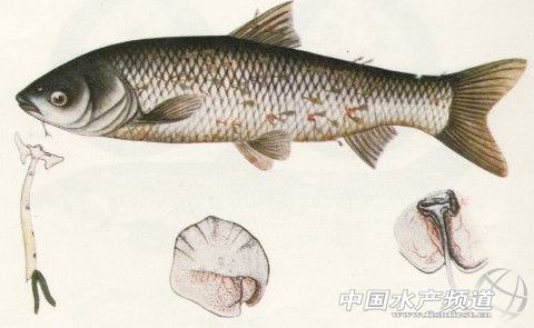 ���^�^������ʷՄ���~��^�^���������е��`�^(q��)