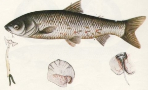 ���^�^������ʷՄ���~��^�^���������е��`�^(q��)