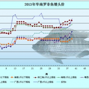 2013��8��26-29���_���~�r�������܈�