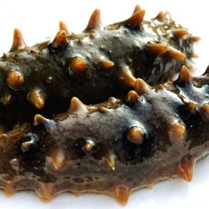 2013�������a�I˼�c׃