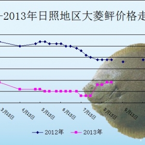 2013��8��29��ɽ�|���յ؅^�����҃r������