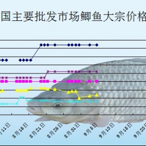 2013��9��4��ȫ����Ҫ���l�Ј��a�~�r������