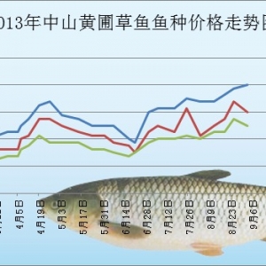 2013��9��3����ɽ�S�Բ��~�N���^�r