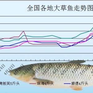 2013��9��3�ո��؅^��Ҏ����~���^�r