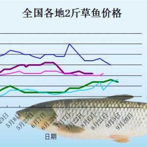 2013��9��3�ո��؅^2����~���^�r