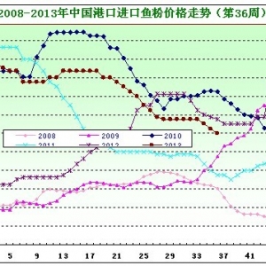 2013���36���~�۷��������M����ƫ�� �����~�ۃr���µ�