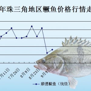 2013��9��9�������ǵ؅^�Z�~�r������