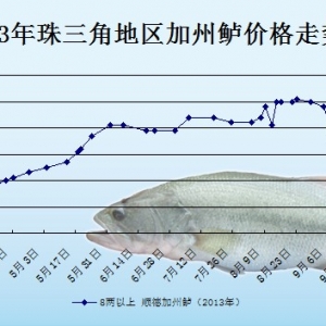 2013��9��9��ȫ�����؅^�����|���^�r