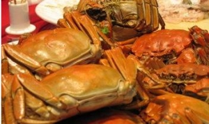 ꖳκ����lз���y�Ԟ��^����Ԓ