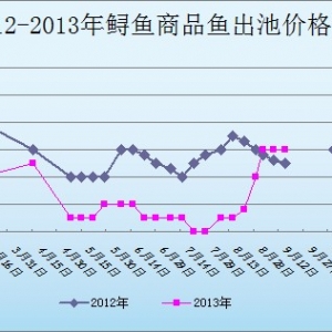 2013��9��16��ɽ�|ұԭ�؅^�\�~�r������