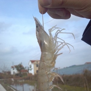 �ɾ��λ������rз�����B(y��ng)ֳ�еđ���