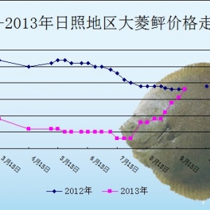 2013��9��23��ɽ�|���յ؅^(q��)�����҃r(ji��)������