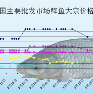 2013��9��23��ȫ����Ҫ���l�Ј��a�~�r������