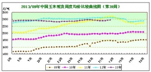 2013���39�������܈��¼Z�������f�� ����^�g����