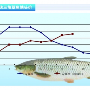 ���~���Ј��r���A�ψ�(ji��n)ͦ �A�|�µ�����ˮ�a(ch��n)ǰ�ء�2013��10�¿��Ј�څ��