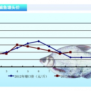 ���~�����ڃr��ƽ������ˮ�aǰ�ء�2013��10�¿��Ј�څ��