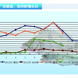 �����|������(y��ng)���� �r(ji��)����䡪��ˮ�a(ch��n)ǰ�ء�2013��10�¿��Ј�(ch��ng)څ��(sh��)