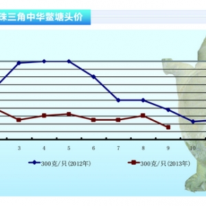���~(y��)�����M(f��i)�M(j��n)������ С���ϝq����ˮ�a(ch��n)ǰ�ء�2013��10�¿��Ј�(ch��ng)څ��(sh��)