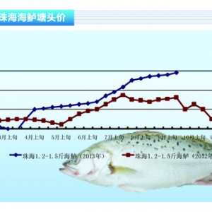 ���|�����~�_ʼ���� �_Ҏ���~���١���ˮ�aǰ�ء�2013��10�¿��Ј�څ��