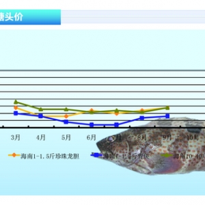 ʯ���~(y��)���r(ji��)����ϝqڅ��(sh��)����ˮ�a(ch��n)ǰ�ء�2013��10�¿��Ј�(ch��ng)څ��(sh��)