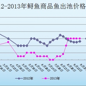 2013��9��30��ɽ�|ұԭ�؅^�\�~�r������