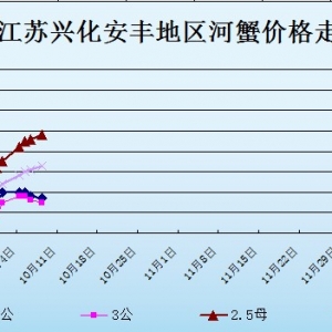 2013��10��8�ս��K�d�����S��з�r������